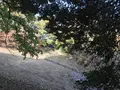 みその公園「横溝屋敷」の写真_242207