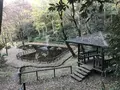 みその公園「横溝屋敷」の写真_242209