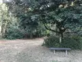 みその公園「横溝屋敷」の写真_242211