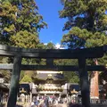 日光東照宮の写真_242438