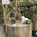 二荒山神社の写真_242442