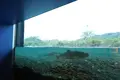 イヨボヤ会館の写真_242967
