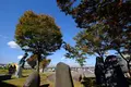 越後妻有里山現代美術館キナーレの写真_243069