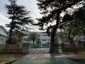 大磯中学校の写真_243180