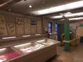 世界のコイン館の写真_243508