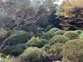 旧陸奥宗光邸「聴漁荘」の写真_243531