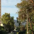 手宮線跡地の写真_243566