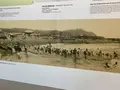 照ヶ崎海岸の写真_243608