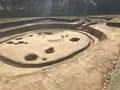 大塚・歳勝土遺跡の写真_243766