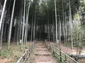 大塚・歳勝土遺跡の写真_243803