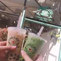 アースカフェ表参道の写真_244018