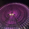 よこはまコスモワールドの写真_244039