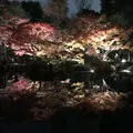 大田黒公園の写真_244059