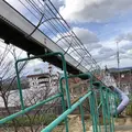 パルシェ香りの館の写真_244261