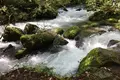 奥入瀬の写真_244584