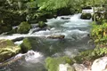 奥入瀬の写真_244586