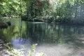 奥入瀬の写真_244587