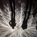 【閉業】森ビルデジタルアートミュージアム：エプソン チームラボボーダレス（MORI Building Digital Art Museum: EPSON teamLab Borderless）の写真_244606