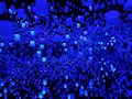 【閉業】森ビルデジタルアートミュージアム：エプソン チームラボボーダレス（MORI Building Digital Art Museum: EPSON teamLab Borderless）の写真_244610