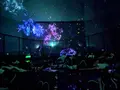 【閉業】森ビルデジタルアートミュージアム：エプソン チームラボボーダレス（MORI Building Digital Art Museum: EPSON teamLab Borderless）の写真_244612