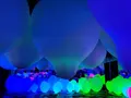 【閉業】森ビルデジタルアートミュージアム：エプソン チームラボボーダレス（MORI Building Digital Art Museum: EPSON teamLab Borderless）の写真_244621