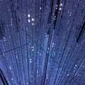 【閉業】森ビルデジタルアートミュージアム：エプソン チームラボボーダレス（MORI Building Digital Art Museum: EPSON teamLab Borderless）の写真_244622