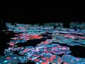 【閉業】森ビルデジタルアートミュージアム：エプソン チームラボボーダレス（MORI Building Digital Art Museum: EPSON teamLab Borderless）の写真_244623