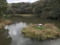 神奈川県立金沢文庫の写真_244654