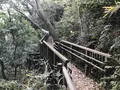 神奈川県立金沢文庫の写真_244660
