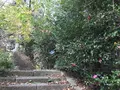 神奈川県立金沢文庫の写真_244667