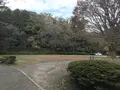 神奈川県立金沢文庫の写真_244677