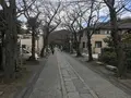 神奈川県立金沢文庫の写真_244678