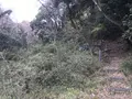 神奈川県立金沢文庫の写真_244681