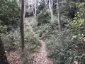神奈川県立金沢文庫の写真_244689