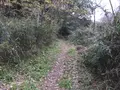 神奈川県立金沢文庫の写真_244690