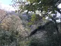 神奈川県立金沢文庫の写真_244691