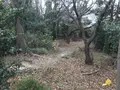 神奈川県立金沢文庫の写真_244695