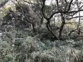 神奈川県立金沢文庫の写真_244697