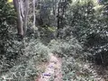 神奈川県立金沢文庫の写真_244702