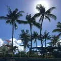 Wet'n'Wild Hawaiiの写真_245083