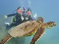 Sunshine Scubaの写真_245092
