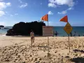 ワイメア・ベイ・ビーチの写真_245126