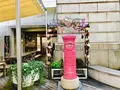 カラコロ工房の写真_245223