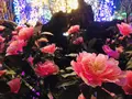 由志園の写真_245250