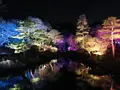 由志園の写真_245251