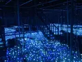 由志園の写真_245253