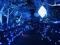 由志園の写真_245256