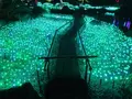 由志園の写真_245257