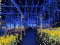 由志園の写真_245260