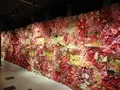 奈良金魚ミュージアムの写真_245357